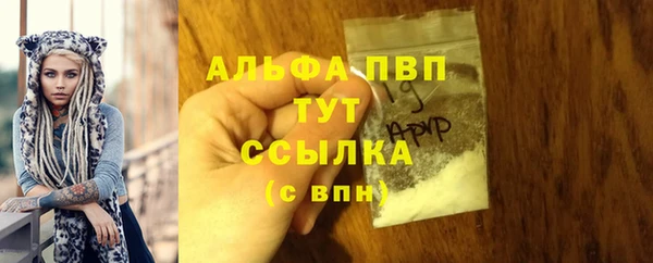 гашик Арсеньев
