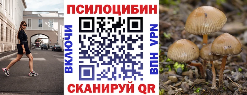 Псилоцибиновые грибы Cubensis магазин наркотиков Барыш